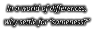 In a world of differences, why settle for “sameness?”